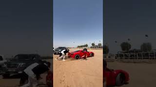 when a Ferrari running offroad #shorts #car #supercars