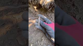 Antique opium bottle found (I think) #bottledigging #shorts #metaldetecting #short