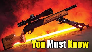 Affordable Insights: 10 Surprising Facts About the Budget-Friendly Ruger 10/22!