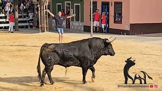 impresionantes salida de Sergio Centelles segundo toro en Massamagrell 3 de agosto 2024