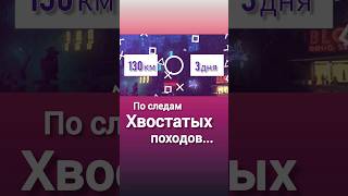 17 августа Хвостатый поход от 0 км до Зоогородка.130км пройдем за 3 дня. Поддержите нас kotodetki.ru