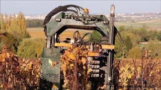 🍇Pré-taillage sur les coteaux champenois 2020!🍇🍾