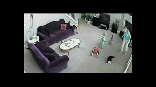 Cat defends baby from babysitter