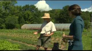 WCAX Green Stink Bugs PKG 8/18/12