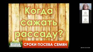 РАССАДА 3 Как повысить всхожесть семян? Когда и куда их лучше высаживать?