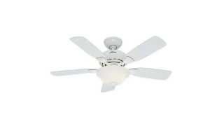 Hunter Fan Company 52080 Caraway 44-Inch Snow White Ceiling Fan with Five Snow White Blades