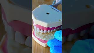 Dental experement / teeth vs  #shorts #short #asmr