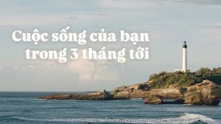 Cuộc sống của bạn trong 3 tháng tới