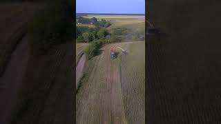 Corn Silage Chopping with Advanced Tools