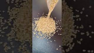 Bulgur quality Meyer sorting  www.biosafoods.com