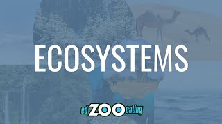 What Is an Ecosystem? | What Are Biotic and Abiotic Factors? | EdZOOcating Adventures