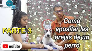 APOSITANDO OREJAS parte 3 | Información que cura