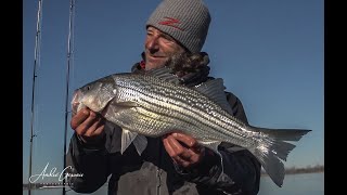 Pêche au lac Saint Pierre, en compagnie du guide David Jussaume