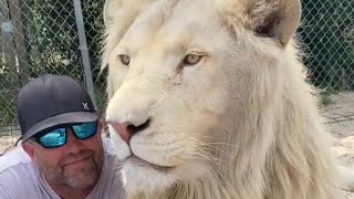 BIG CATS LOVE THIS MAN! AMAZING