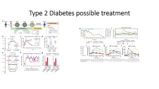 Type 2 Diabetes Possible Treatment #Code: 566