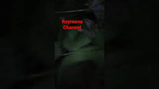 Soyabeen plant our house #royreena