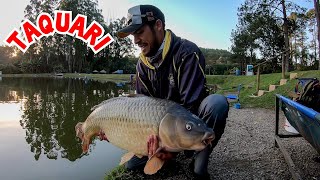 SÓ Troféu na Ponta da linha-PESCARIA de ULTRALIGHT no Centro de pesca TAQUARI.