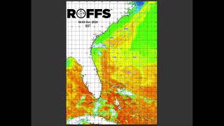 Southeastern U.S. Ocean Conditions Update - 10/08/2024