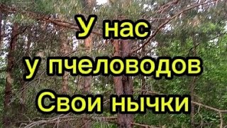 Закладки Пчеловода