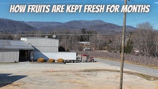 This is how fruits are kept fresh for months | Walmart turned me away because my fuel was too low!!