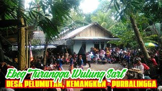 Pementasan Jaran Kepang || Ebeg Turangga Wulung Sari Desa Pelumutan, Kemangkon - Purbalingga