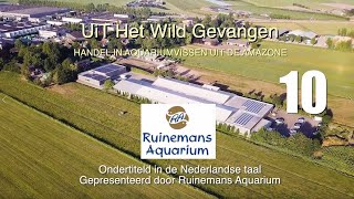 Uit het wild gevangen, deel 10/10