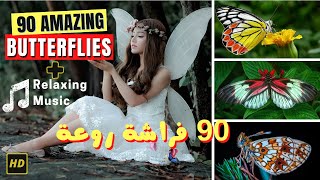 🦋 90 Most Beautiful Butterflies & Relaxing Sounds 🎵 عالم الفراشات سبحان الخالق | Super Papillons