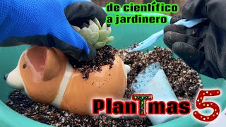 Plantmas 5. Termino mi doctorado, sin trabajo pero más feliz que nunca. Transplante de coreanas P.3