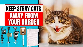 Best Cat Repellent for Outdoors (Humane Ways to Keep Stray Cats Away)