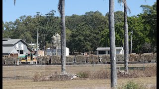 A Morning of Sugar Cane Trains at Sarina Queensland.