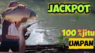 "Lihat"Tes umpan 100%jitu,umpan paling jitu ikan bawal