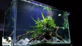 HOW TO NANO AQUASCAPE - Low tech Ep.5 |Membuat Aquascape|水草造景