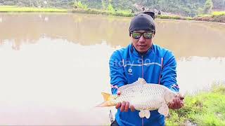 Mancing Harian 21 September 2024 #breakingnews #mancingmas #kabupatenmamasa #mancingmania