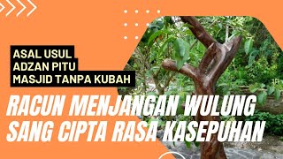 Mengungkap Tabir Menjangan Wulung Penebar Racun di Masjid Sang Cipta Rasa @buyutcerbonchannel