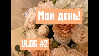 VLOG #2 МОЙ ДЕНЬ 🎊 20 ЛЕТ!