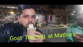 GOAT FARMING TRAINING MATHURA ! FSCI VLOGS ! TOUR AND TRAVELS MATHURA