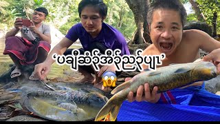 BigBird cooking big fish in jungle with me Htoo paw and friends