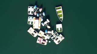 Docked Pedal Boats on the Lake