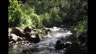 ASMR Relaxing 3hrs in nature