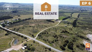 Real Estate Review. EP 9 #TERRA #OLIVA