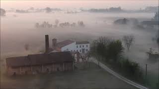 NEBBIA PRIMAVERA 2021 LUZZARA DRONE