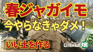 ジャガイモの土作り畝作り。ジャガイモを植えるには水はけがよく、低肥料、酸性寄りの畝の土の作りにしなければだめです。1/18