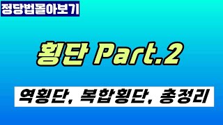 [주말정당법몰아보기] 횡단 Part.2 (역횡단~총정리)