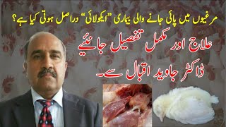 What Is E. Coli? E.coli Symptoms and Prevention in Poultry | Dr Javed Iqbal