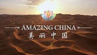 #AmazingChina: The Most Loyal Partner in the Desert 沙漠里最忠实的伙伴