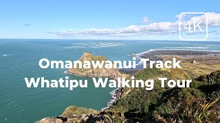 A Nature Walk Along the Omanawanui Track Whatipu Auckland New Zealand ASMR