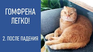 ГОМФРЕНА - ЛЕГКО! Падение после всходов