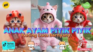 ANAK AYAM PIYIK PIYIK VERSI KUCING LUCU VIRAL TERBARU