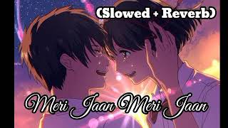 Meri Jaan Meri Jaan - (Slowed + Reverb) Bachan Pandey, B Praak (use earphones 🎧)