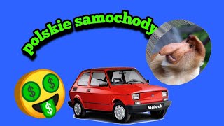 polskie samochody   (@_@)?!?